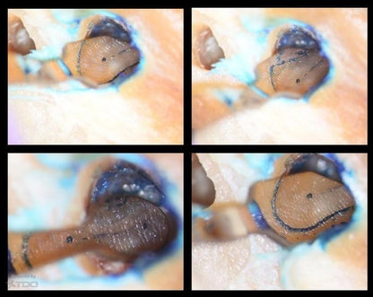 Carr Micromirror - 3x6mm Oval